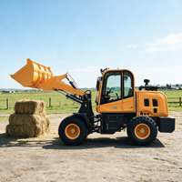 Chargeur frontal diesel agricole facile à utiliser pour vignobles, 4 roues motrices, hydraulique, portable, à vendre