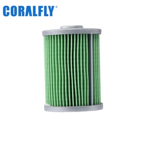 Filtro de Combustible 160603020033B para Excavadora Sany Xcmg SY16 SY18C SY26U XE27E XE27U - Product Image 1