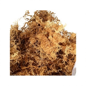 สาหร่ายคอตตอนนีแห้งคุณภาพสูง 100% จากธรรมชาติ (Kappaphycus Alvarezii Carrageenan) บรรจุภัณฑ์สุญญากาศแบบทั้งชิ้น รสเค็ม 24 ชิ้น - Product Image 1