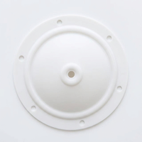 Compatible avec le diaphragme en PTFE de 1/2 pouce Blagdon G15-033 pour la pompe à double diaphragme pneumatique B15 X15 pour les services incendie YYH