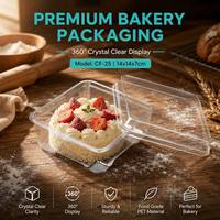 Boîte en plastique PET transparente de qualité alimentaire pour pain, gâteaux, desserts, emballage carré jetable avec couvercle, taille et épaisseur personnalisables