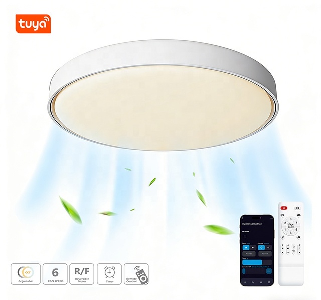 Smart LED Bladeless Ceiling Fan Lamp DC Motor High CRI >80 Dimmable 3000-5500K Color Temperature 6-Speed Minimalist Bedroom Home