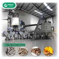 Ligne de production de granulés de bois fiables : EFB, copeaux de bois et déchets de biomasse pour le chauffage