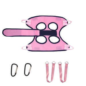 LY Sling de soutien moderne multi-usage pour chiots chatons Solution de soins bucco-dentaires anti-fuite approuvée par le vétérinaire avec outil de coupe de griffes - Product Image 6