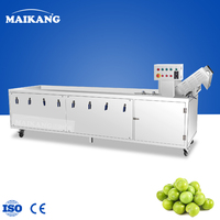 Máquina de Limpieza de Frutas y Verduras con Ozono, Industrial, de Acero Inoxidable, para Lavar Frutas y Verduras de Hoja