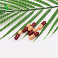 Capsules vides personnalisées de qualité pharmaceutique, solubles dans l'estomac, certifiées GMP Halal, végétariennes, HPMC