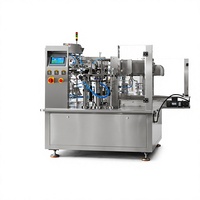 Machine d'emballage professionnelle pour sachets préformés avec entraînement par servomoteur, haute stabilité, alimentation rotative des sacs, remplisseuse et scelleuse