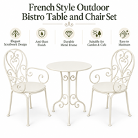 Ensemble bistrot en métal blanc 3 pièces, table et chaises de patio d'extérieur avec accoudoirs pour jardin, balcon