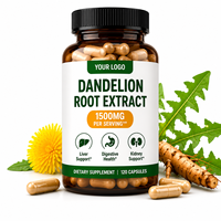 Capsules d'extrait de racine de pissenlit naturel à marque privée, vente directe d'usine, complément alimentaire à base de plantes, échantillon disponible
