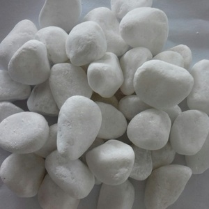 Pierres naturelles colorées blanches, galets pour entretien d'aquarium - Product Image 1