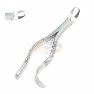 Forceps manuels de qualité supérieure en acier inoxydable pour l'extraction des racines # 16 Molaire inférieure universelle en corne de vache de haute qualité pour extraction dentaire MOL - Product Image 2
