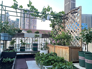 Waterproof <b>Plastic</b> Wood Deck Tiles for Outdoor Garden Courtyard Balcony Interlocking Easy DIY Installation - Product Image 3