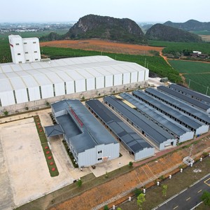 Structure de stationnement en acier surélevée, structure en acier, <span class=keywords><strong>maison</strong></span> préfabriquée, <span class=keywords><strong>kit</strong></span> de construction en acier, structure en acier commerciale - Product Image 3