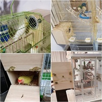 Nid de reproduction pour perroquets, maison de reproduction, volière en bois, cage pour perruches, cage pour perroquets