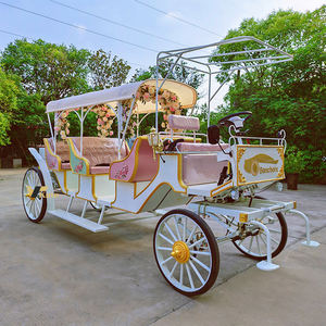 Chariot de tourisme à chevaux pour visites urbaines, faible MOQ, vente en gros - Product Image 1