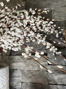 Longue artificielle <span class=keywords><strong>hiver</strong></span> <span class=keywords><strong>jasmin</strong></span> Folk Pip Berry plante branches sèches saint valentin noë<span class=keywords><strong>l</strong></span> décor mariage maison fête Table Vase - Product Image 5