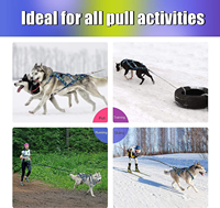 Harnais de traction professionnel pour chiens, pour la course à la traîne (bikejoring, skijoring, canicross, scootering), adapté aux chiens de type Husky, avec gilet anti-étranglement