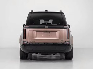 2024 2025 2026 ROX 01 SUV eléctrico híbrido Vehículo de lujo chino de alta calidad 7 asientos de cuero Serie de piedra polar de largo alcance izquierda - Product Image 6