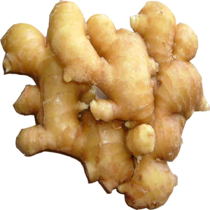 Gingembre frais biologique de Chine, qualité export, provenant du Shandong - Product Image 5