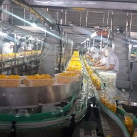 Leadworld Automatische Voedseldrank Ananas Sinaasappel Inblikken Blikken Maken Machine Fruit Productielijn