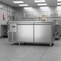 Réfrigérateur vertical grande capacité BINGEEDIY en acier inoxydable, congélateur commercial pour la conservation de la viande et des aliments