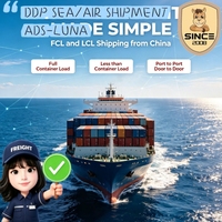 Expédition Express Fiable DDP DDU FCL LCL de Chine vers la Martinique avec un transit de 1 à 2 jours et assurance