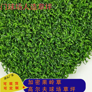 Gazon artificiel vert 2x25 mètres, durable pour parcours de golf et green de putting - Product Image 4