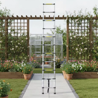 Échelle télescopique portable moderne en alliage d'aluminium TUV EN 131-6 2019, 3,2 m, 11 marches, capacité de charge de 150 kg, supermarché, salle de bain