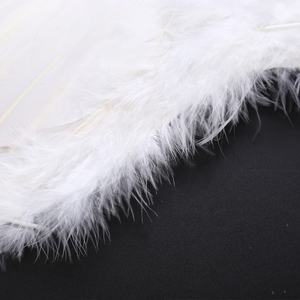 All'ingrosso rosso tinto ali <span class=keywords><strong>d</strong></span>'<span class=keywords><strong>angelo</strong></span> piume per il carnevale di Halloween Cosplay decorazioni del partito - Product Image 6
