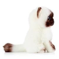 Jouets en peluche pour chat réalistes en gros, vente chaude, jouets en peluche pour chat doux et mignons, jouets en peluche pour chat réalistes, jouets en peluche pour animaux de compagnie