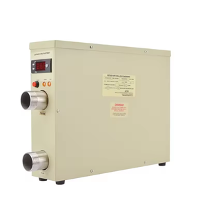 Chauffe-eau de <span class=keywords><strong>piscine</strong></span> au propane <span class=keywords><strong>mini</strong></span>, bon <span class=keywords><strong>prix</strong></span>, haute qualité, pour système de chauffage extérieur de <span class=keywords><strong>piscine</strong></span> - Product Image 2