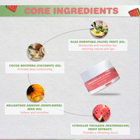 Masque de nuit pour les lèvres à la pastèque, 20g, hydrate et restaure la couleur rose naturelle des lèvres, vente en gros