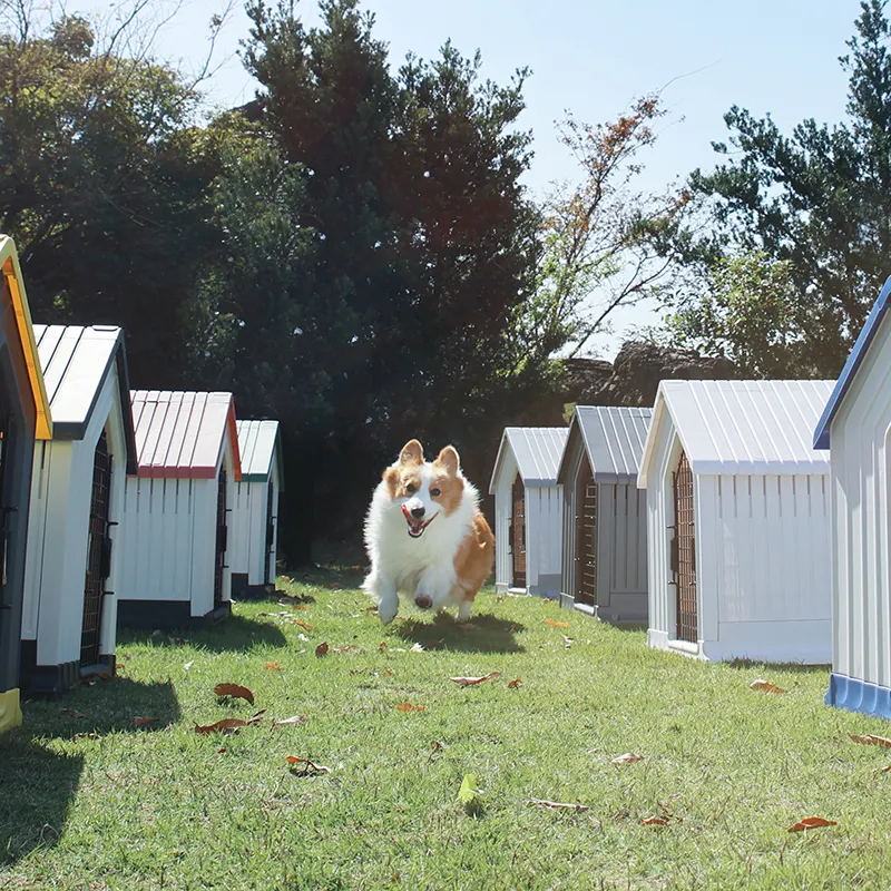 Casa de mascotas portátil para exteriores, jaula para perros y gatos, nuevo diseño