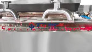 TGP500 Máquina automática de boba, Bola de jugo, línea de producción de boba para hacer boba - Product Image 3