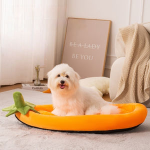 Afneembaar Wasbaar 4-seizoen Huisdierenbed Groot/Medium/Klein Ras Hond En Kattenbed Gemakkelijk Te Verzorgen En Niet-Afstotend Winter Warm Hondenkussen - Product Image 1