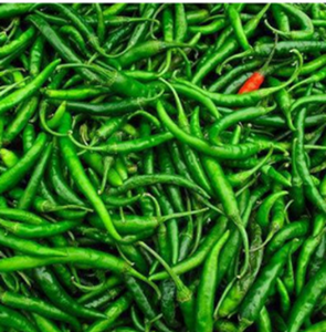 Chiles Verdes Frescos de Primera Calidad, Chiles Verdes Picantes para Cocinar Comida Picante, Grado de Exportación, Vegetales Naturales Frescos de Granja - Product Image 1