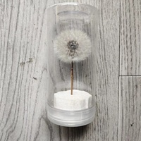Fleur de pissenlit stabilisée directement de l'usine, séchée pour la décoration artisanale DIY