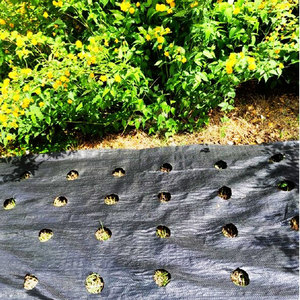 Zwart Plastic Bodembedekker Mulchfolie Anti Grasdoek Grondbedekking Onkruidmat Stof Anti Grasdoek - Product Image 3