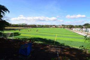 מחיר תחרותי כדורגל שדה דשא ספק מועדף - Product Image 6