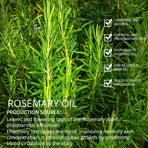 Hot Selling Factory Rosemary <b>Essential</b> <b>Oil</b> High Quality Rosemary <b>Oil</b> for Hair Growth <b>Oil</b> Skin Care Shampoo Food Additives - Product Image 3