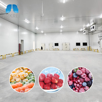 Chambre froide ARKREF, congélateur à air pulsé, unité de réfrigération, compresseur facile à utiliser, conteneur pour fruits