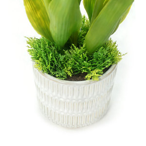 <span class=keywords><strong>Prix</strong></span> de gros, petite tulipe artificielle chic dans un <span class=keywords><strong>pot</strong></span> <span class=keywords><strong>en</strong></span> céramique, fleurs artificielles, tulipe pour une décoration de bureau mignonne - Product Image 5