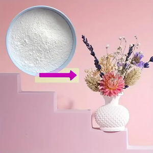 La polvere di gesso Multi-specificazione è di alta resistenza e senza bolle e viene utilizzata per kit di fusione, gioielli e artigianato fai da te - Product Image 5