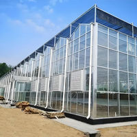 Nouvelle serre en verre de type Venlo avec système hydroponique intégré