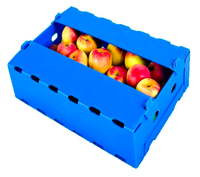Boîte en plastique pour fruits et légumes avec services de moulage et de découpe, taille personnalisable, stabilisée aux UV