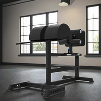 Vente directe usine chinoise pliable GHD chaise romaine Logo personnalisé musculation dos extension acier banc Sit-Up fonction métal