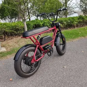 ארבעה אדם או 6 אנשים סארי אופניים Quadricycle סיור Ebike לחופשה