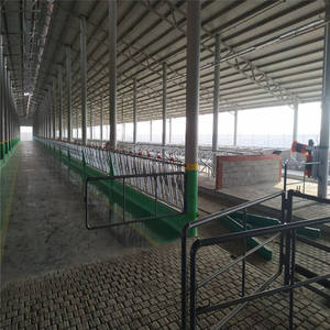 Estructura de Acero para Construcción de Establos de Vacas <span class=keywords><strong>con</strong></span> Acero Q345B para un Diseño de Granja Eficiente y Duradero - Product Image 4