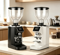 Moulin à expresso électrique Sifei Luxury Mini Home, meules coniques de 60 mm en acier inoxydable, réglage par molette, design minimaliste, 750 g