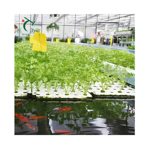 Serre hydroponique et aquaponique à prix compétitif pour la culture de légumes et de poissons, grands réservoirs de pisciculture, serre en verre - Product Image 4